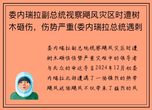 委内瑞拉副总统视察飓风灾区时遭树木砸伤，伤势严重(委内瑞拉总统遇刺)