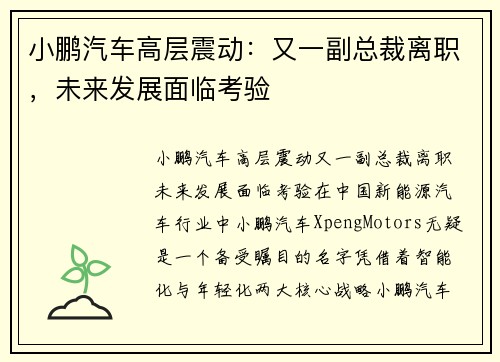 小鹏汽车高层震动：又一副总裁离职，未来发展面临考验